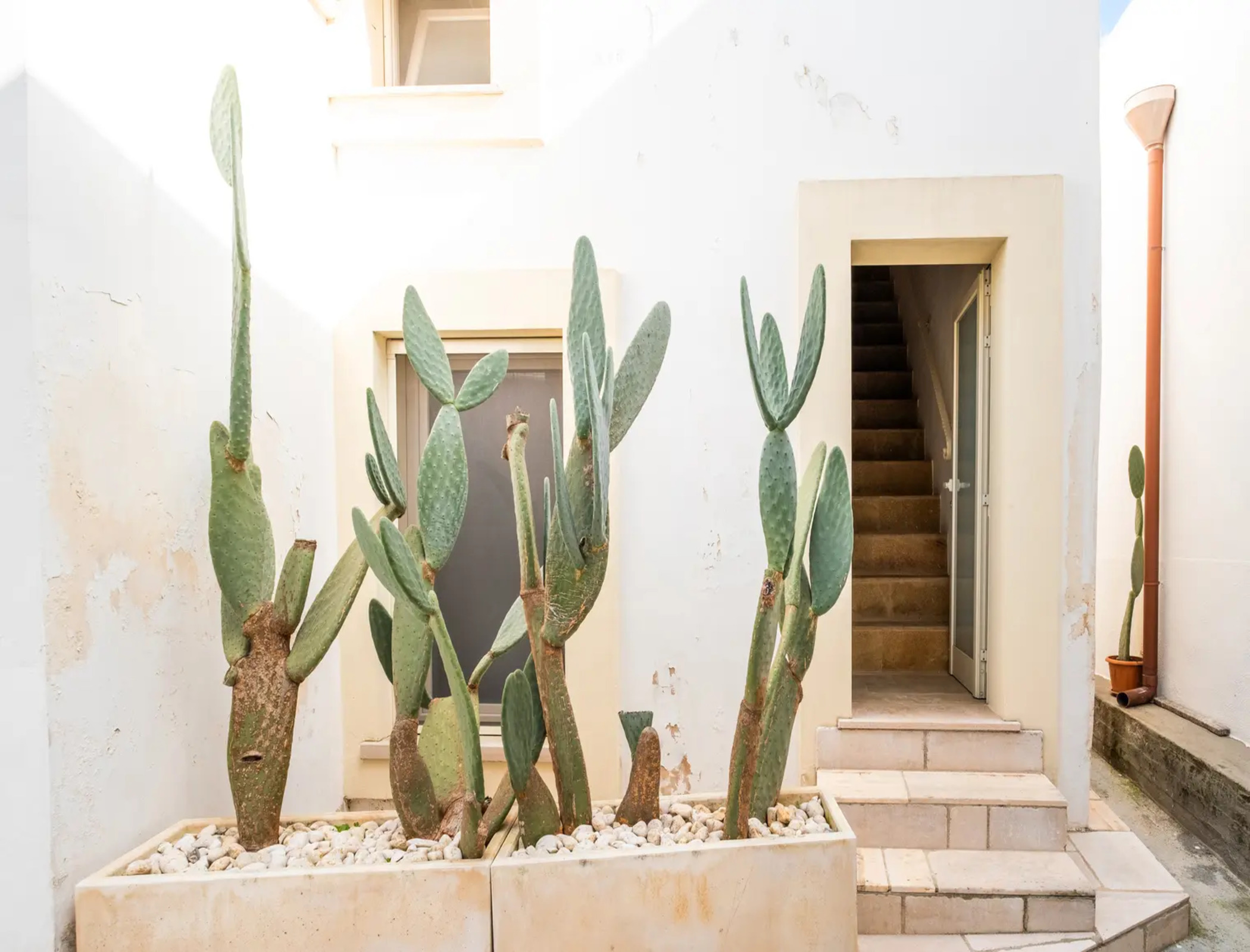 Casa Vacanza con Spa Privata